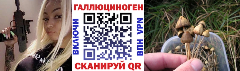 закладки  Беломорск  Псилоцибиновые грибы MAGIC MUSHROOMS 